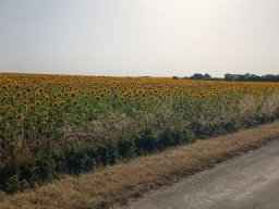 2026-06-24 - la-tranche-sur-mer (02)